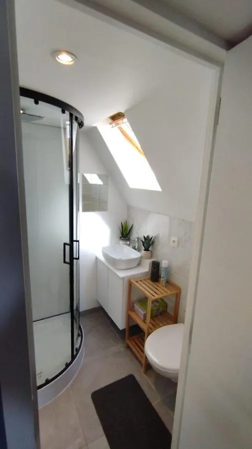The 16Th Century Duplex In The City Center Apartment Antwerp