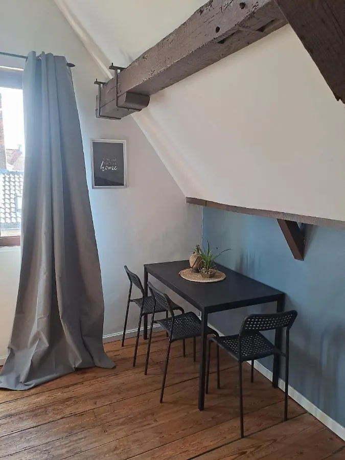 The 16Th Century Duplex In The City Center Apartment Antwerp
