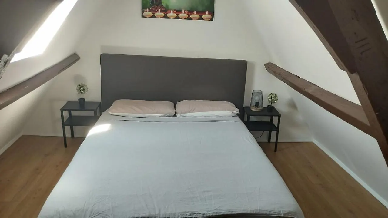 The 16Th Century Duplex In The City Center Apartment Antwerp
